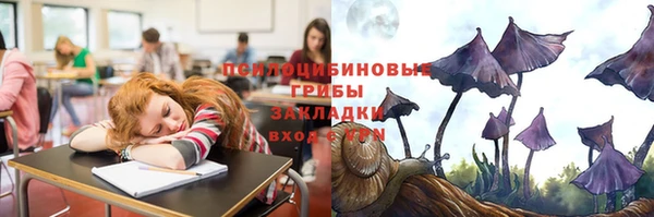 соль курить ск Надым