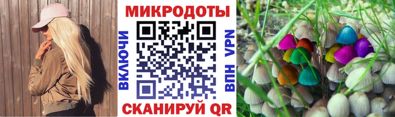 сайты даркнета как зайти  Туран  Псилоцибиновые грибы ЛСД 
